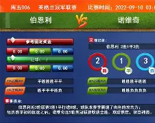 开云官网-伯恩利战绩难有起色，需全队齐心搏击的简单介绍