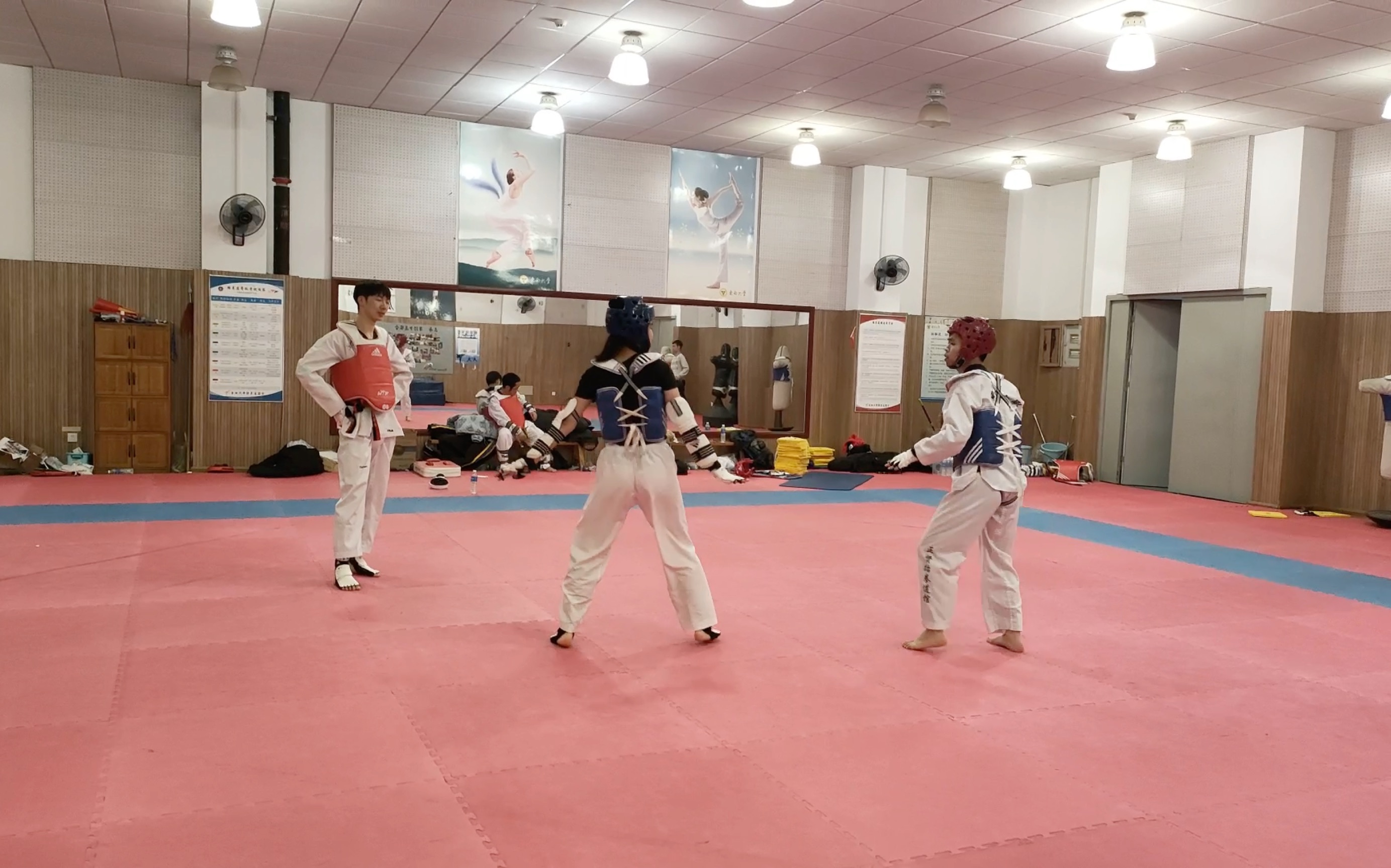 跆拳道赛场：高手对决