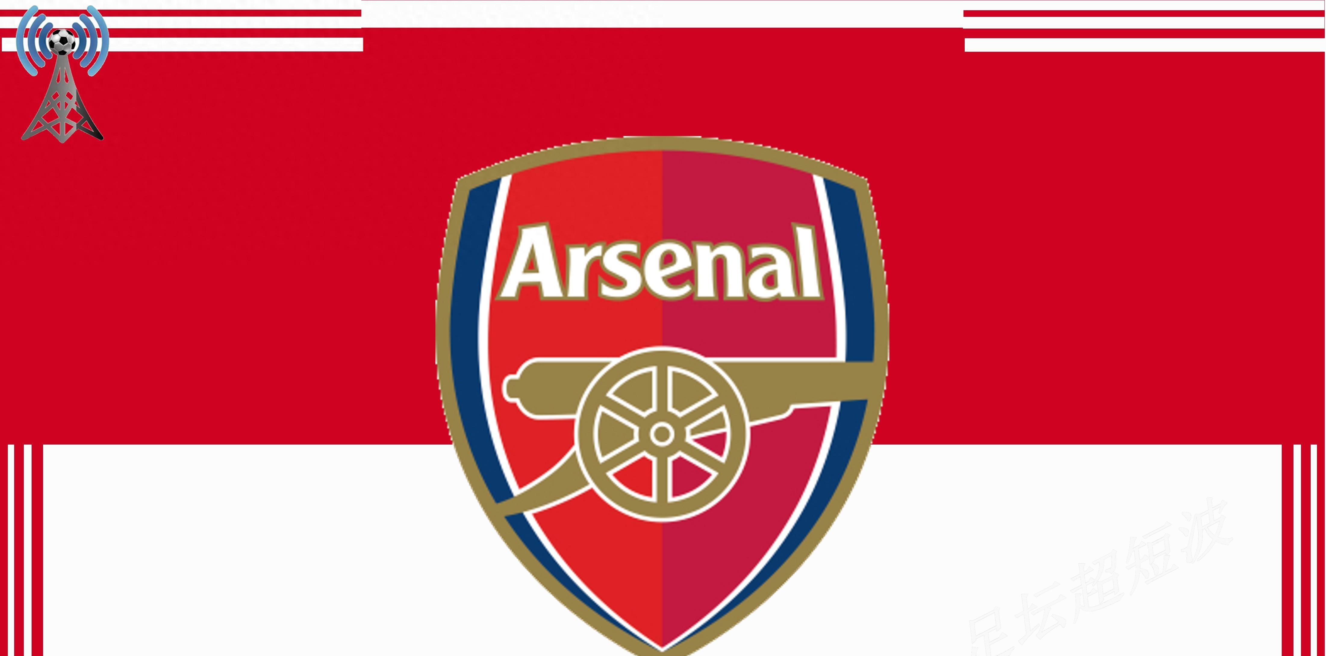 开云平台-包含阿森纳取得胜利，英超劲旅继续领跑的词条