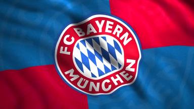 拜仁慕尼黑主场轻松，领跑德国足坛的简单介绍