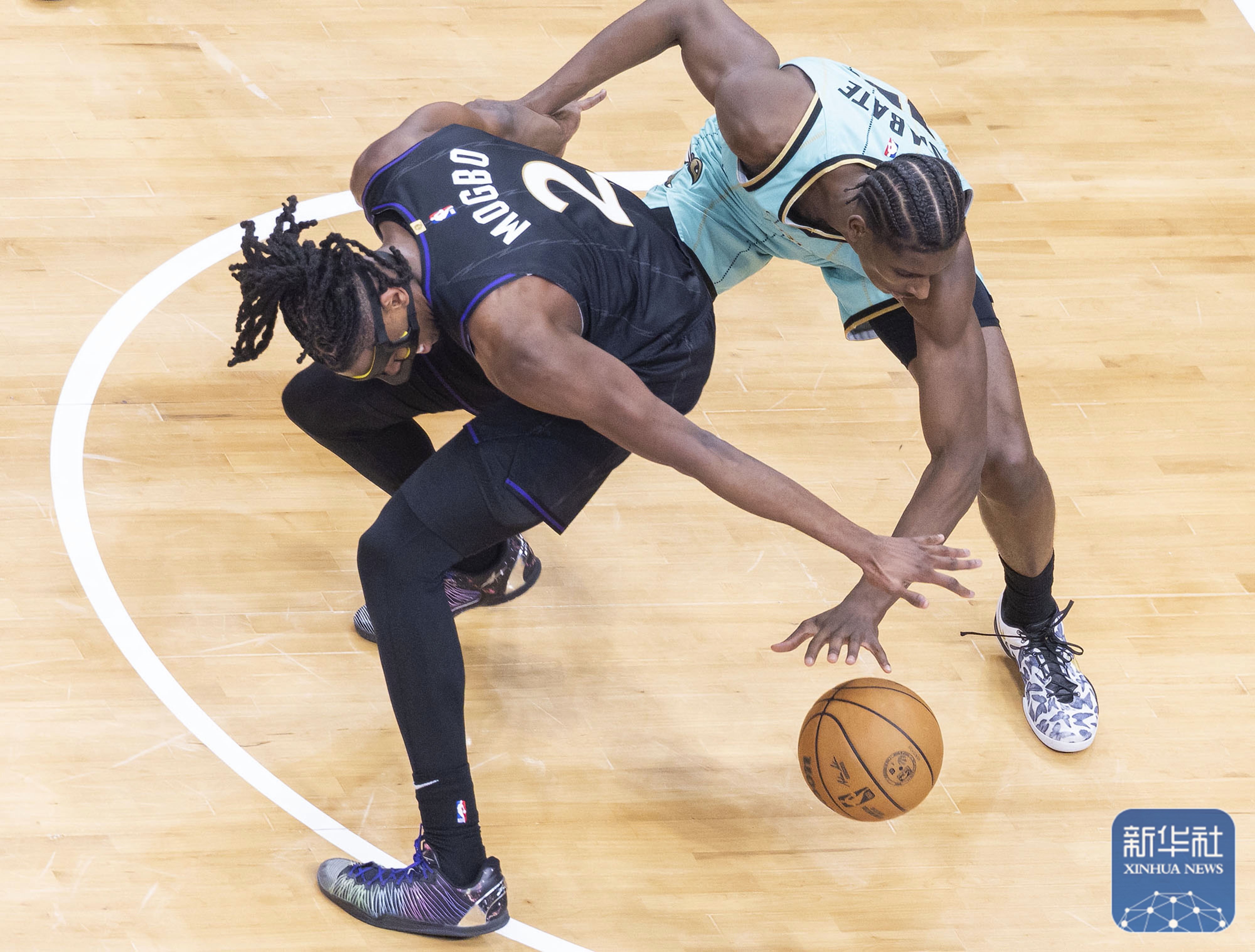 包含猛龙新秀闪耀赛场，表现令人惊艳引起球迷热议的词条