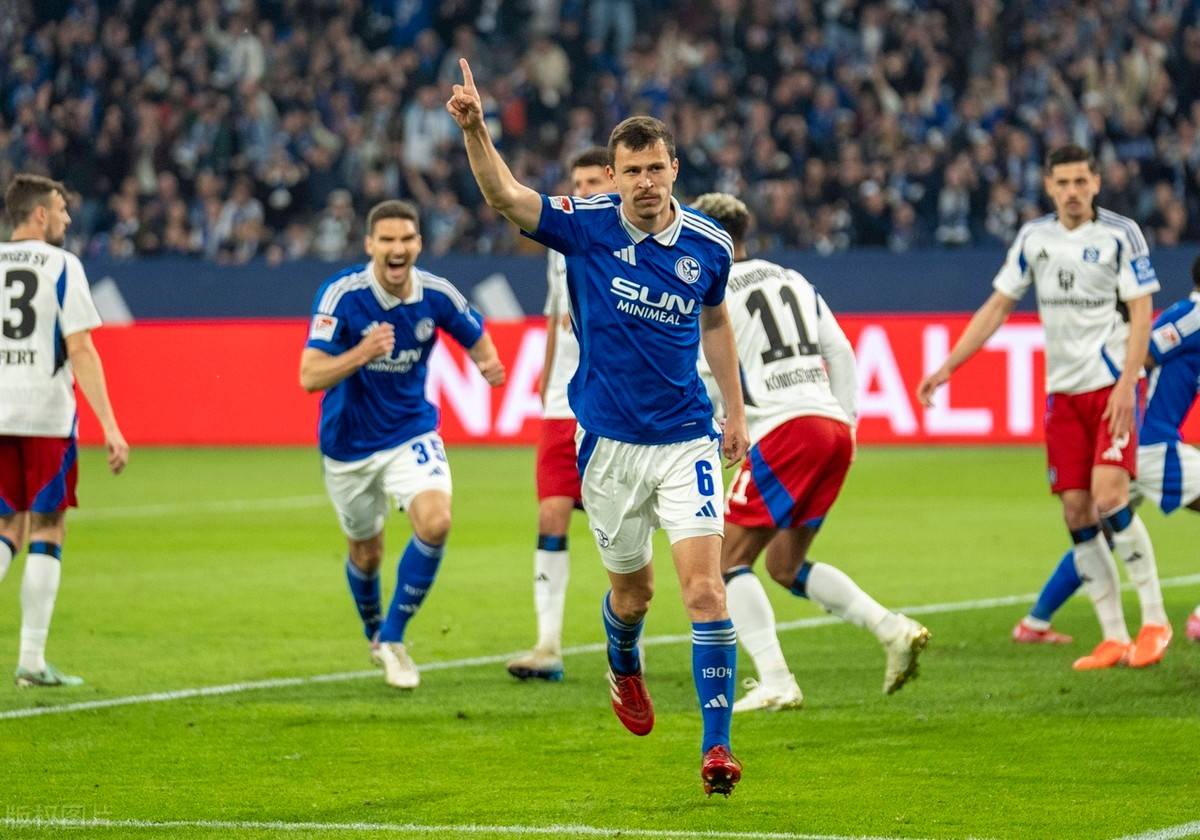 包含汉堡队主场险胜，重要三分保级希望的词条