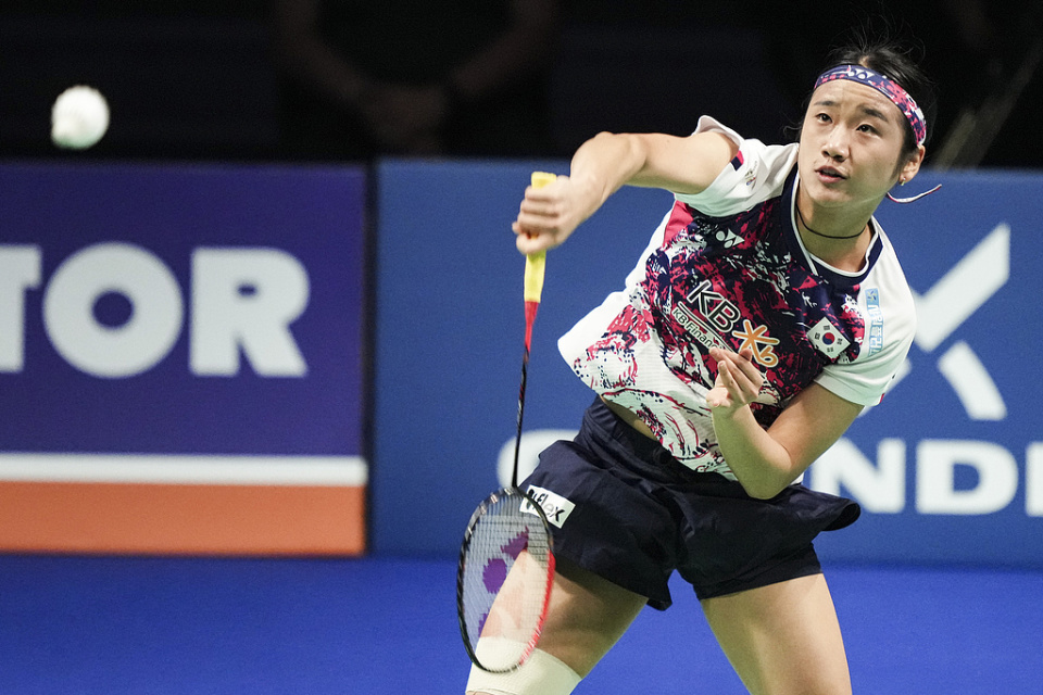 包含丹麦羽毛球队横扫日本羽毛球队，戴资颖送出助攻的词条