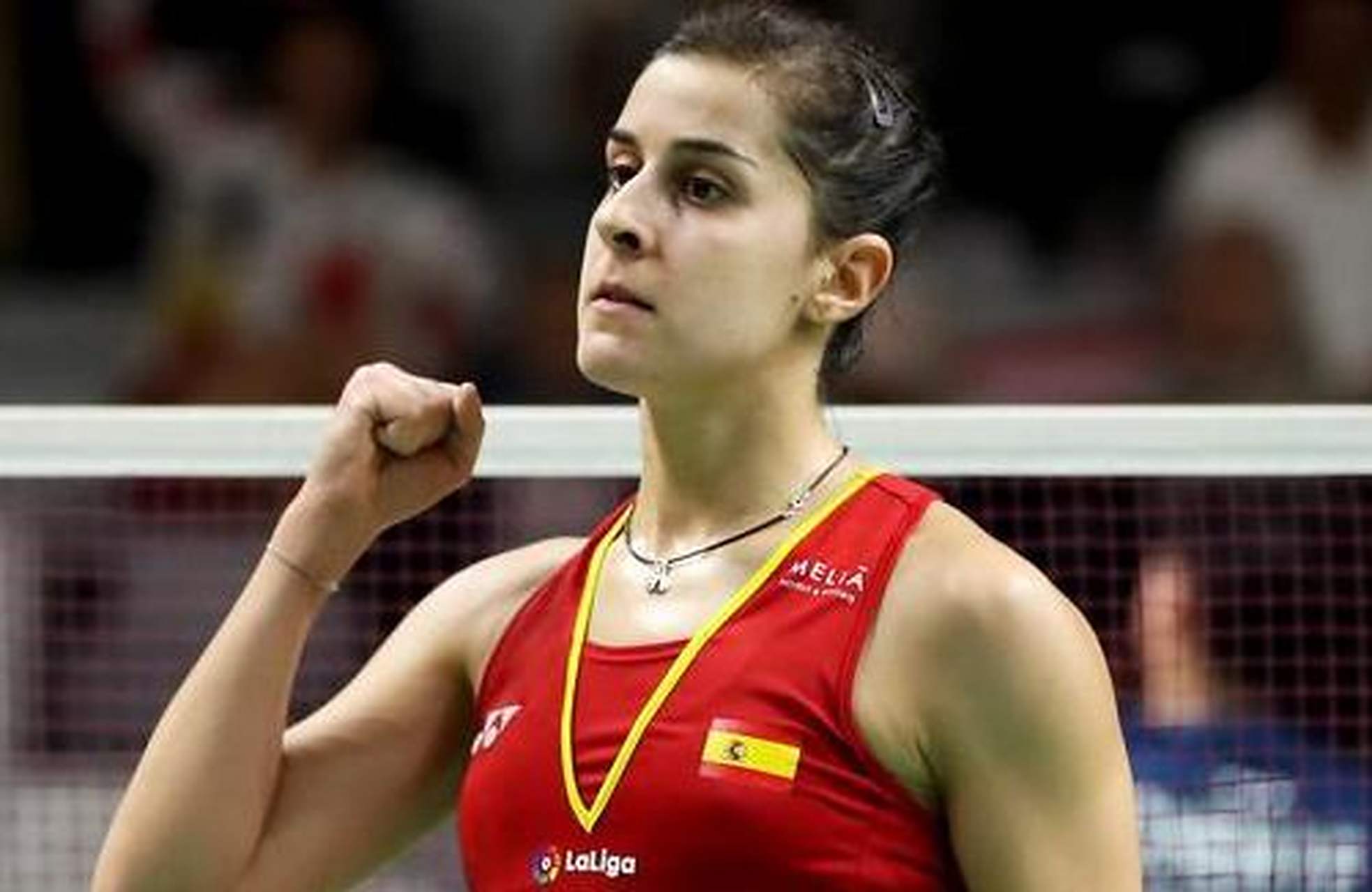 丹麦羽毛球队逆转英格兰羽毛球队，马琳惊艳世界的简单介绍