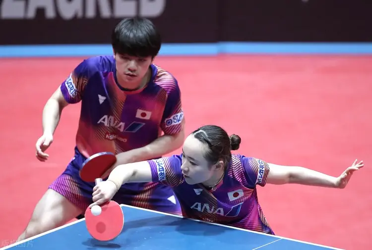 波兰队险胜中国队,马龙关键制胜 波兰队险胜中国队,马龙关键制胜